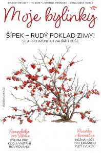 obálka časopisu Bylinky revue 11-12/2025