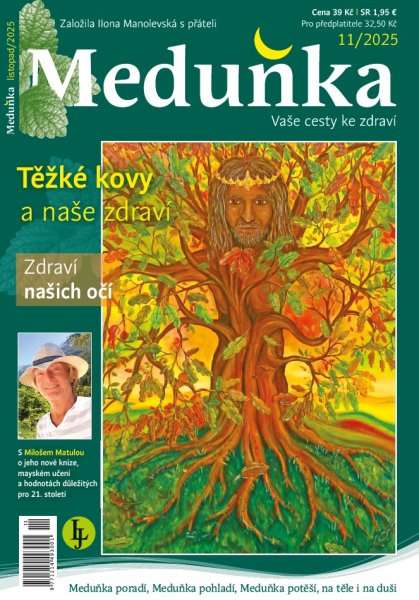 obálka časopisu Meduňka 11/2025