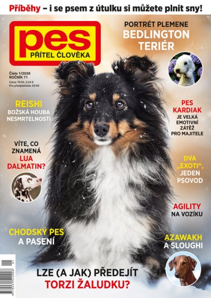 obálka časopisu Pes přítel člověka 1/2026