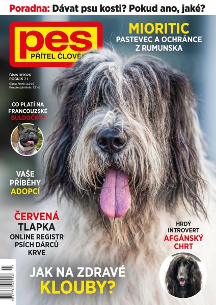 obálka časopisu Pes přítel člověka 3/2026