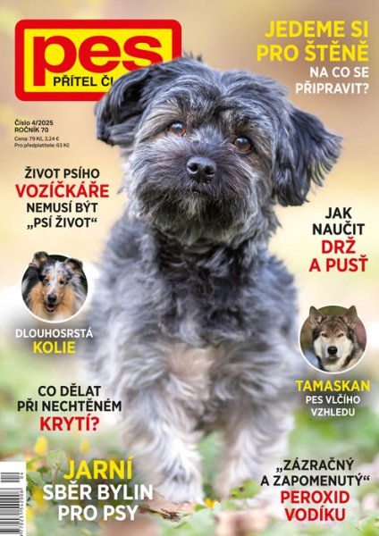 obálka časopisu Pes přítel člověka 4/2025