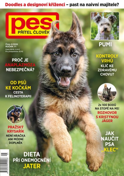 obálka časopisu Pes přítel člověka 5/2026