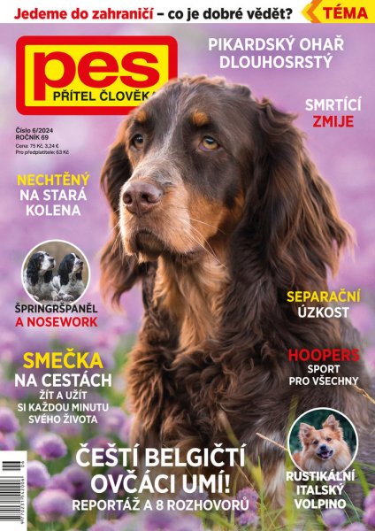 obálka časopisu Pes přítel člověka 6/2024