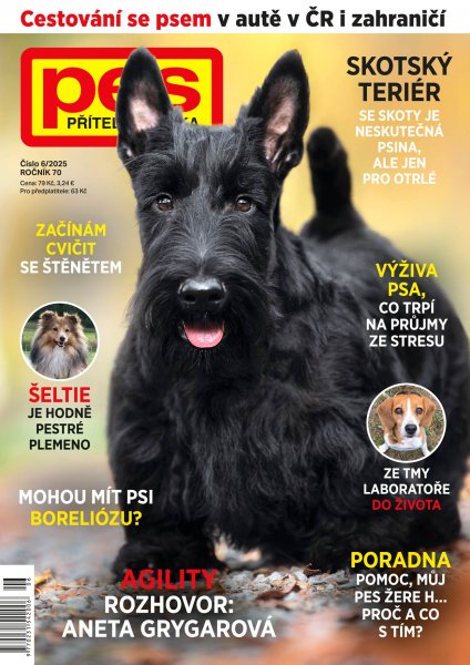 obálka časopisu Pes přítel člověka 6/2025