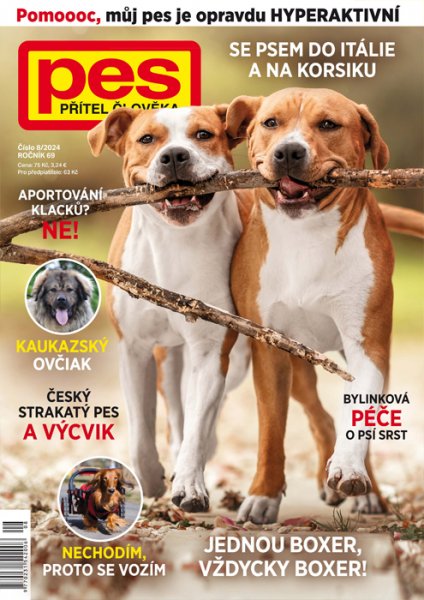 obálka časopisu Pes přítel člověka 8/2024
